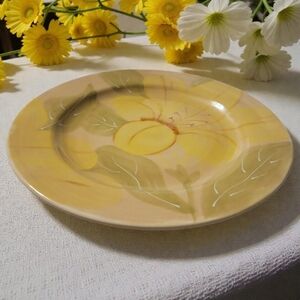 Vtg Wilco Import South San Francisco Flowers Plate Microwave Dishwasher Safe